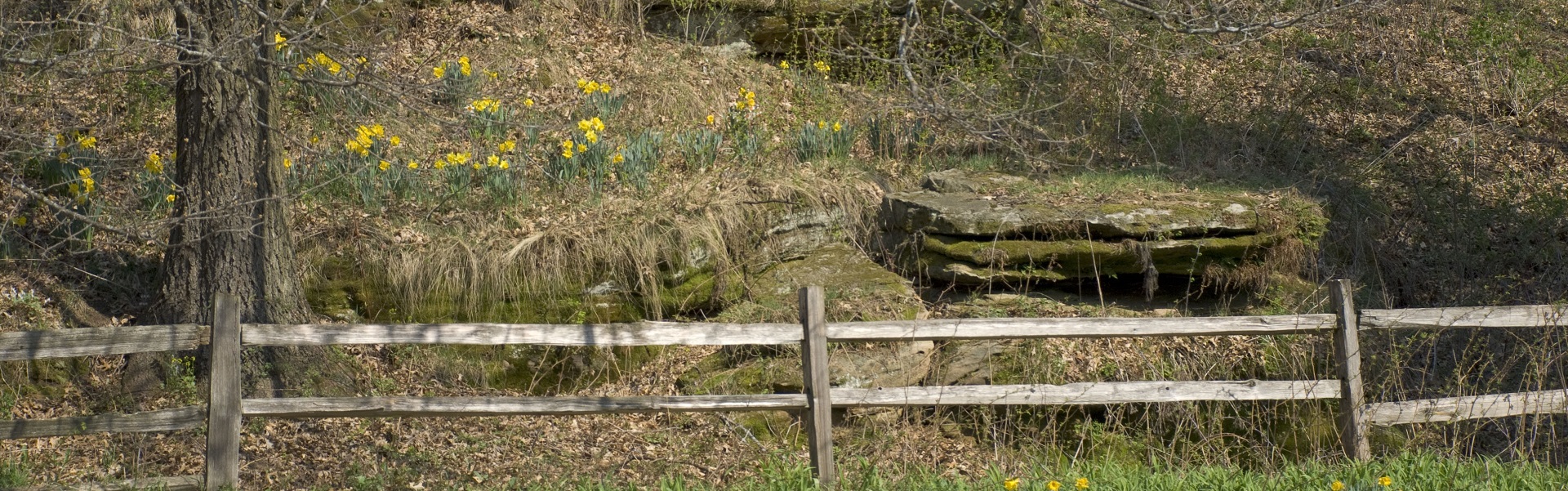 spring outcropping